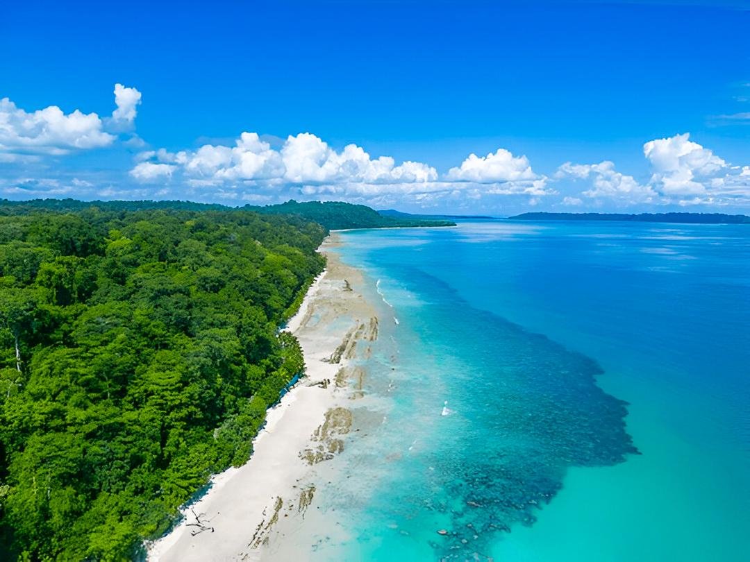 Havelock